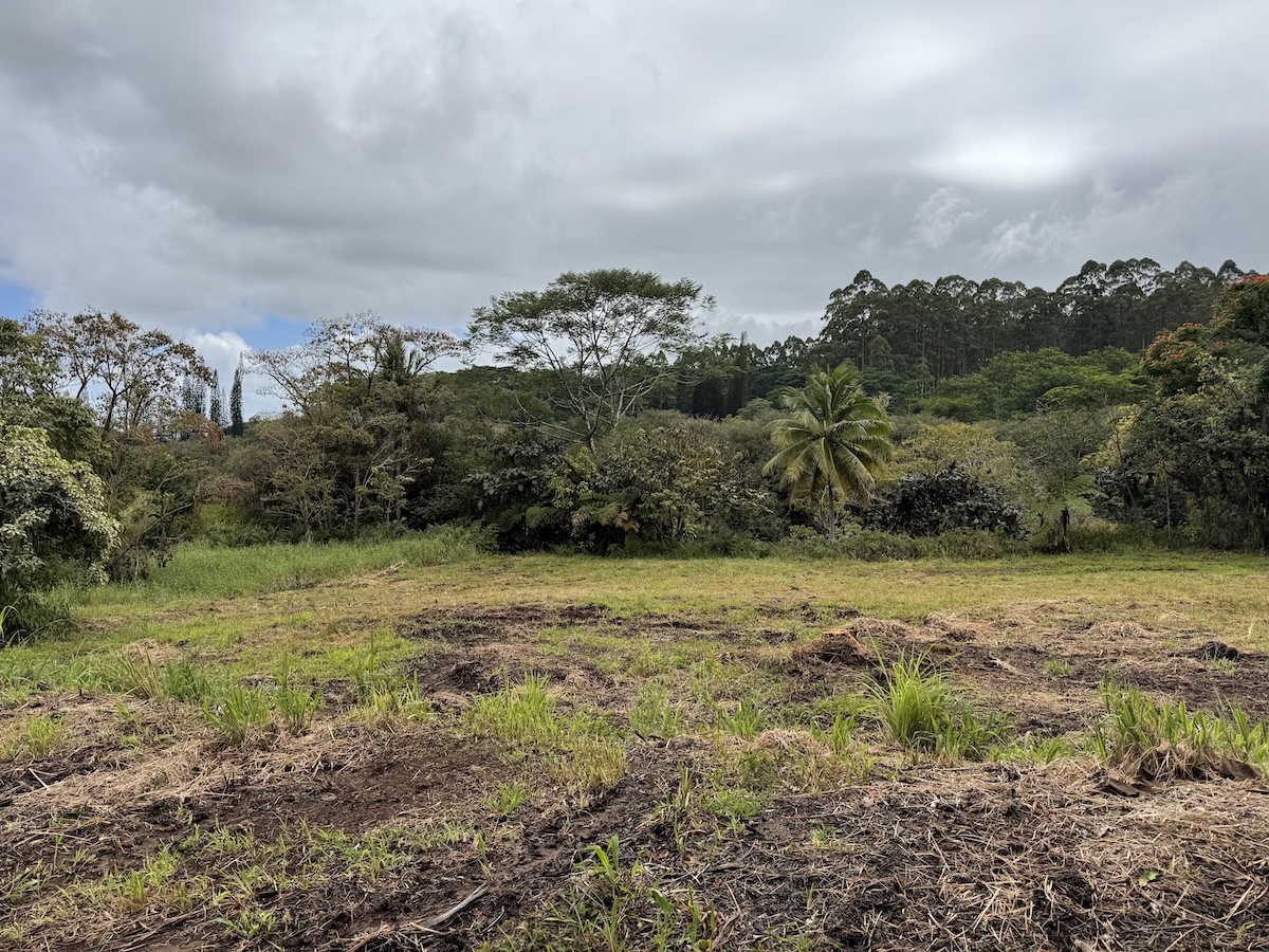 1951 Kaiwiki Road Hilo, HI 96720 - Photo 11 of 29