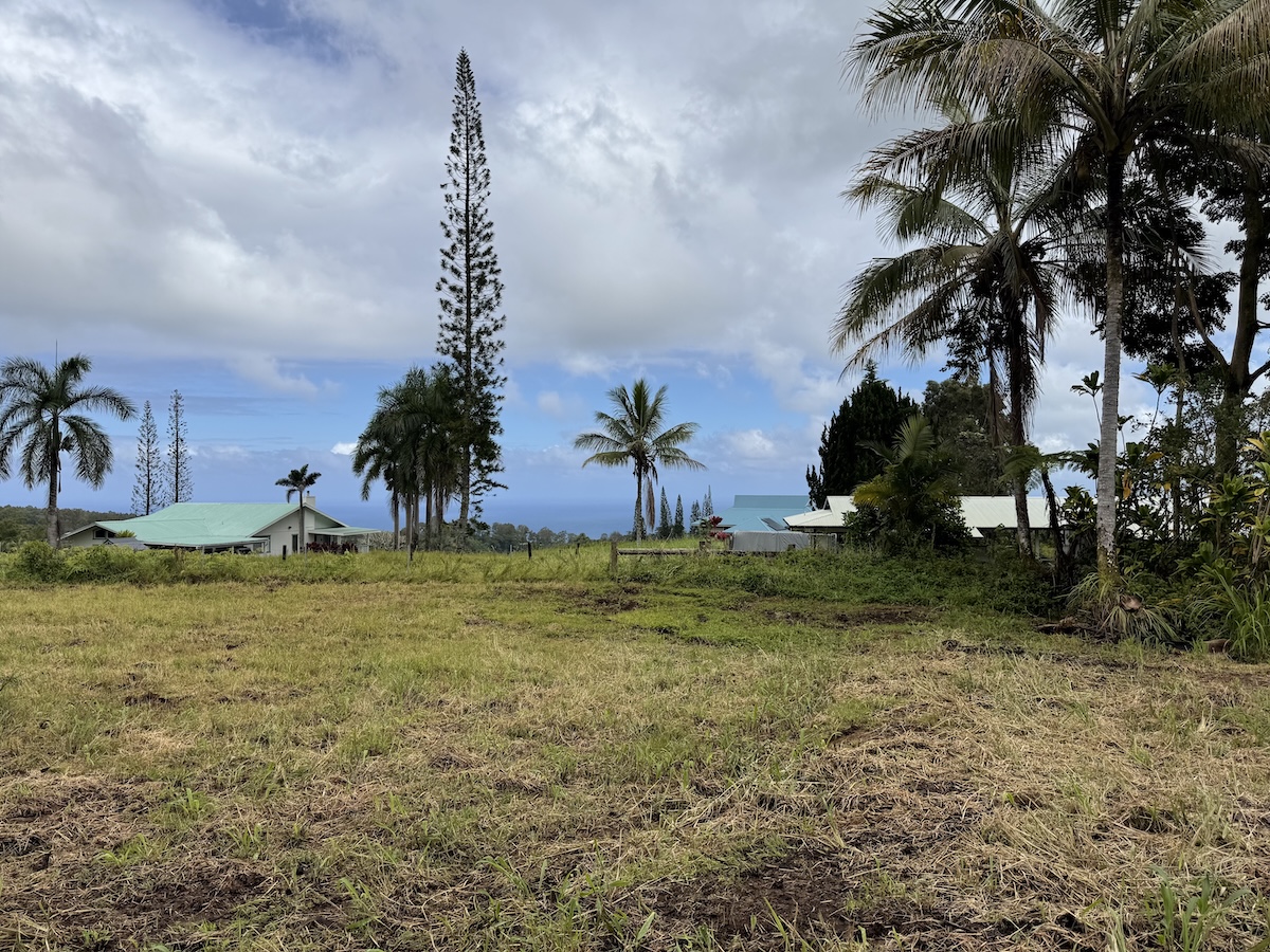 1951 Kaiwiki Road Hilo, HI 96720 - Photo 12 of 29
