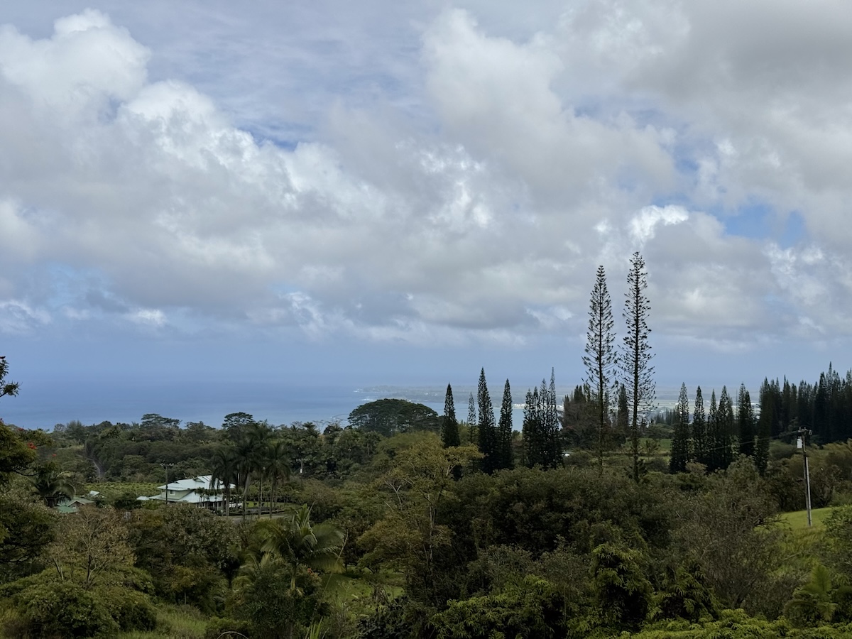 1951 Kaiwiki Road Hilo, HI 96720 - Photo 13 of 29