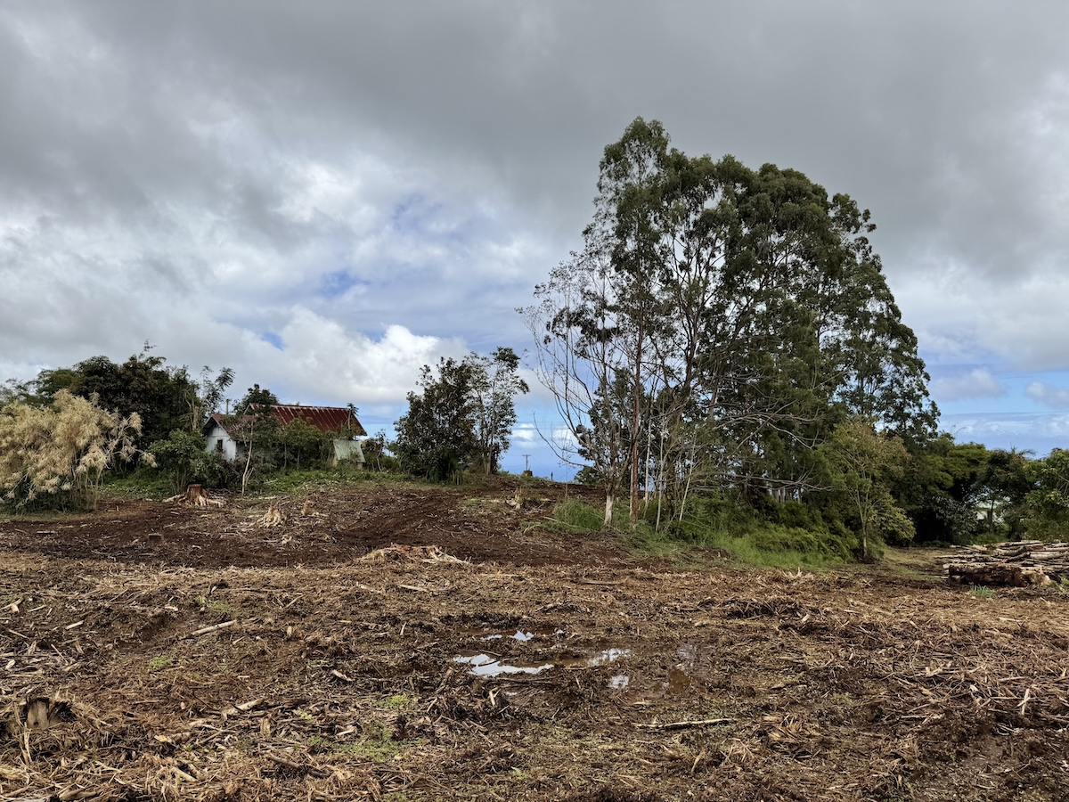 1951 Kaiwiki Road Hilo, HI 96720 - Photo 15 of 29