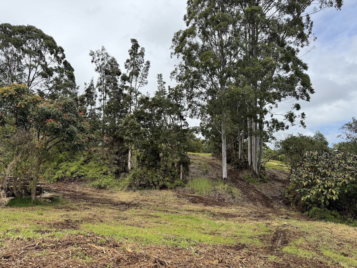 1951 Kaiwiki Road Hilo, HI 96720 - Photo 16 of 29