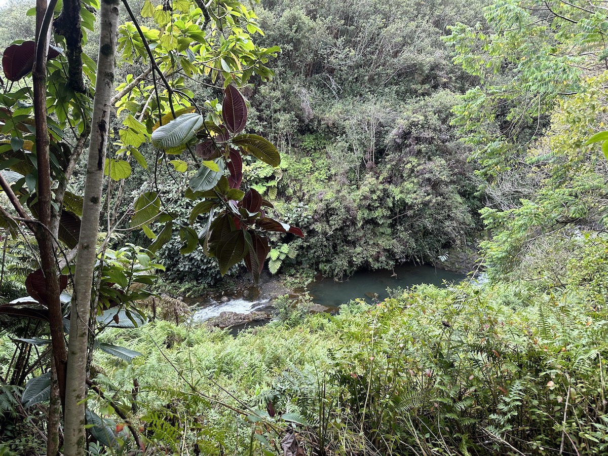 1951 Kaiwiki Road Hilo, HI 96720 - Photo 17 of 29