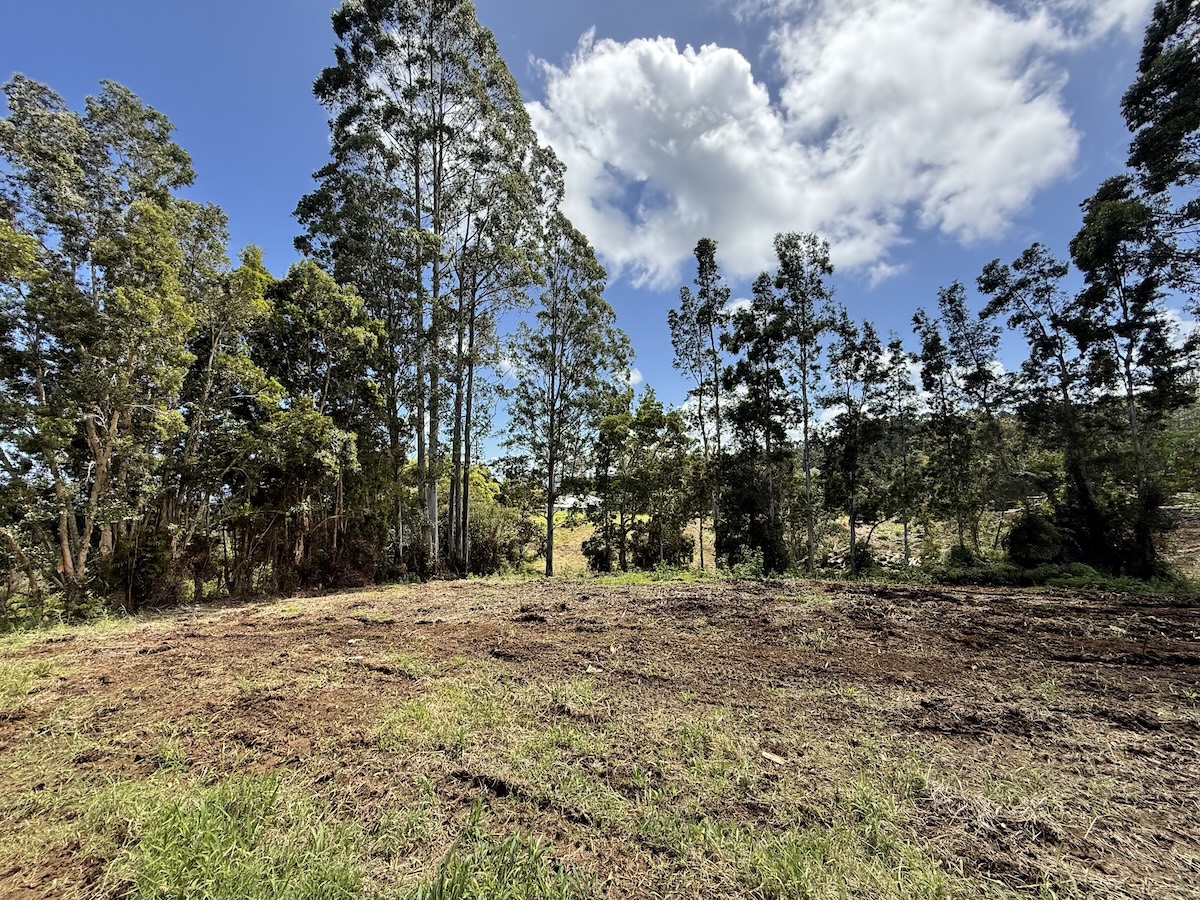 1951 Kaiwiki Road Hilo, HI 96720 - Photo 23 of 29