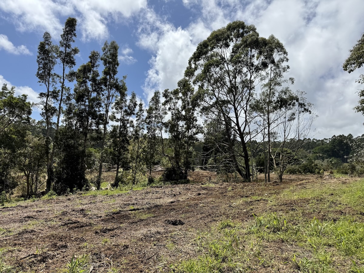 1951 Kaiwiki Road Hilo, HI 96720 - Photo 24 of 29