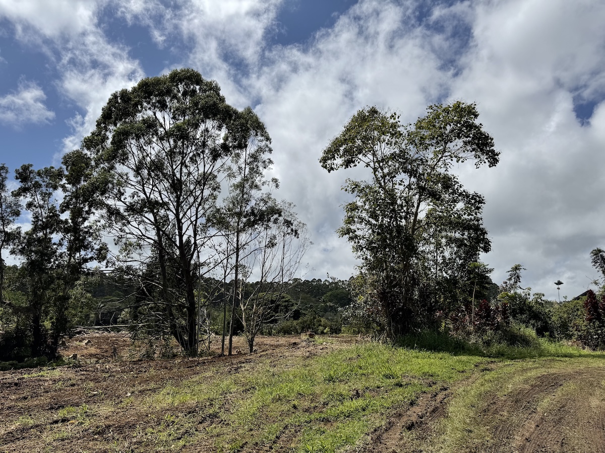 1951 Kaiwiki Road Hilo, HI 96720 - Photo 25 of 29