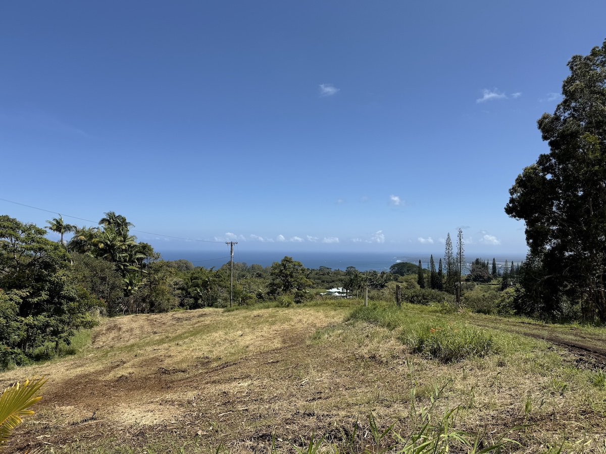 1951 Kaiwiki Road Hilo, HI 96720 - Photo 26 of 29
