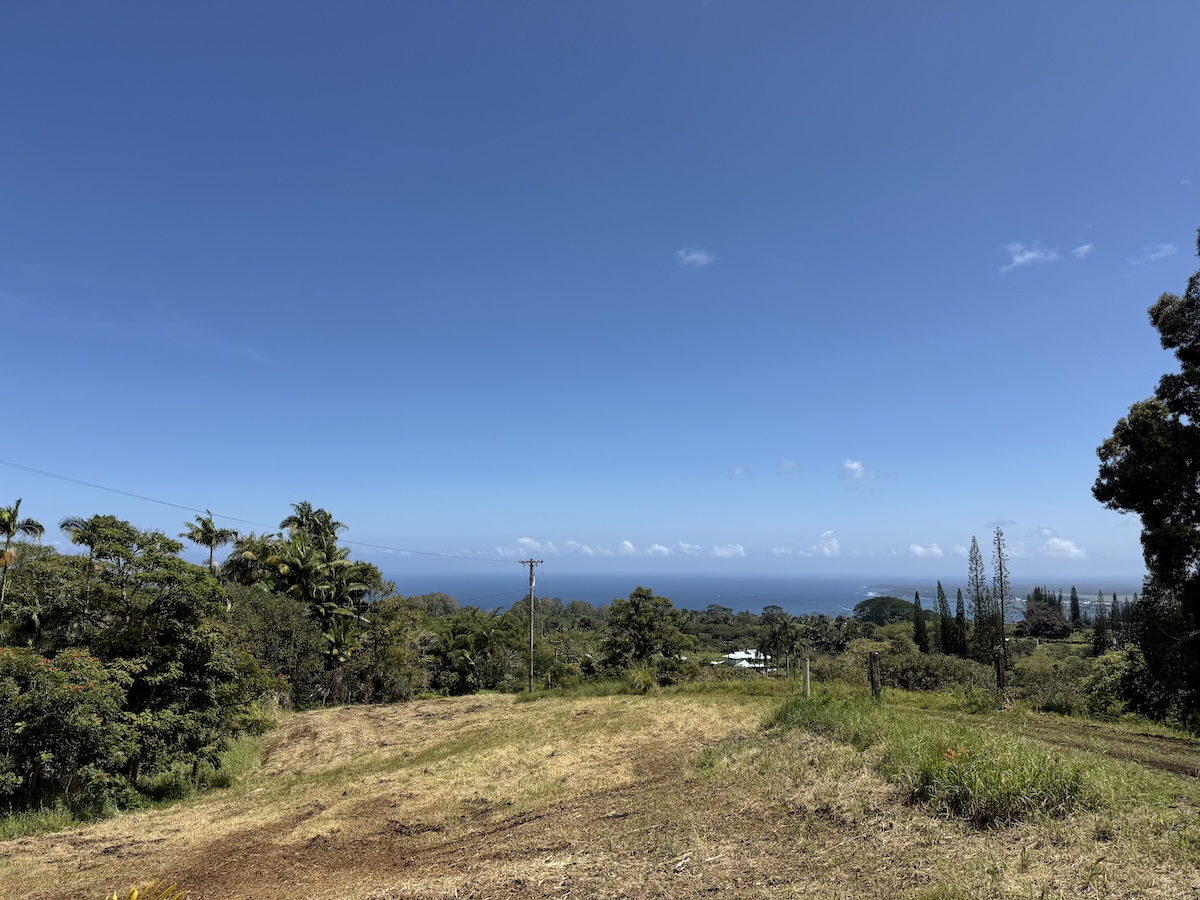 1951 Kaiwiki Road Hilo, HI 96720 - Photo 28 of 29