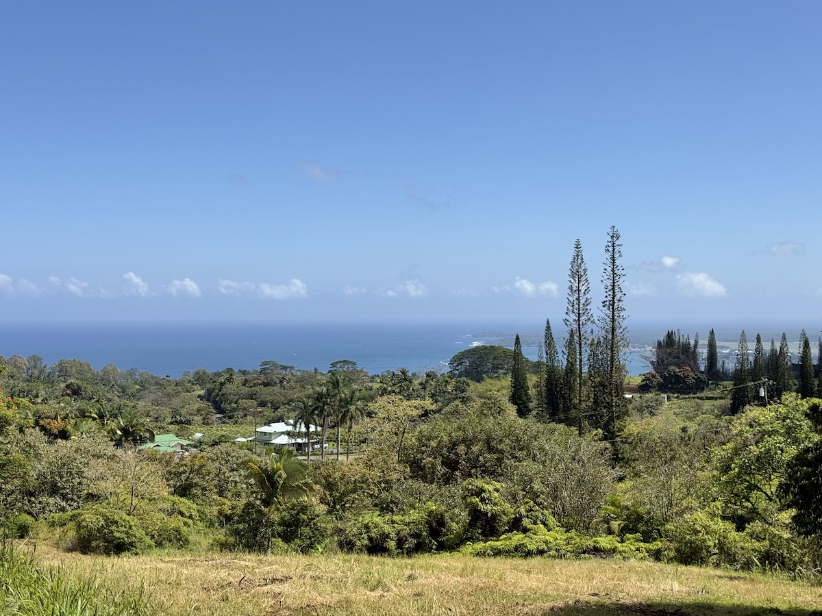 1951 Kaiwiki Road Hilo, HI 96720 - Photo 29 of 29