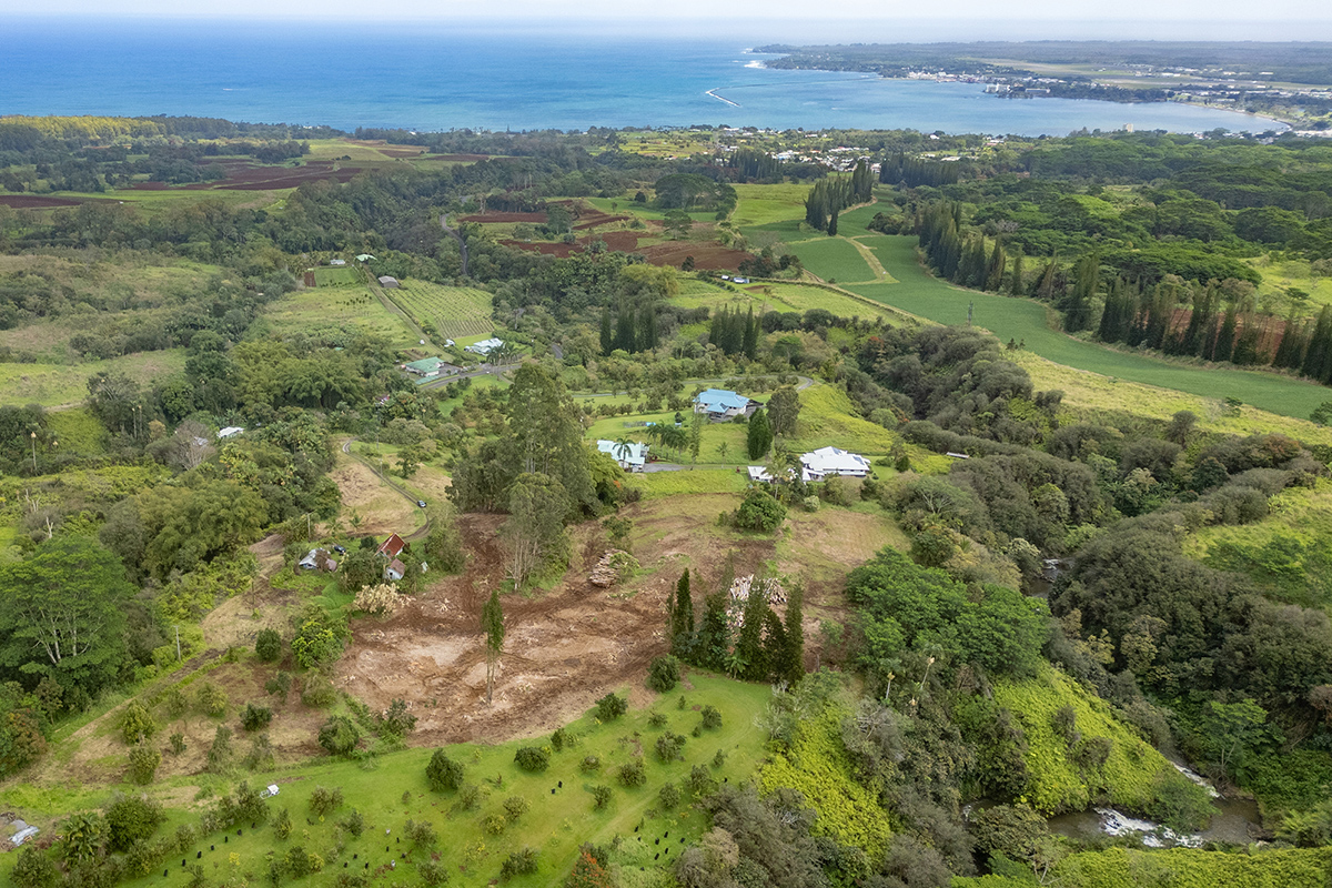 1951 Kaiwiki Road Hilo, HI 96720 - Photo 4 of 29