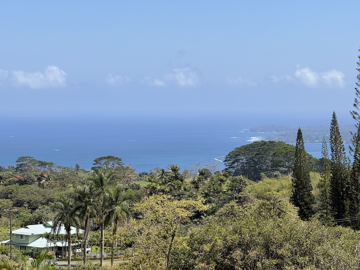 1951 Kaiwiki Road Hilo, HI 96720 - Photo 5 of 29