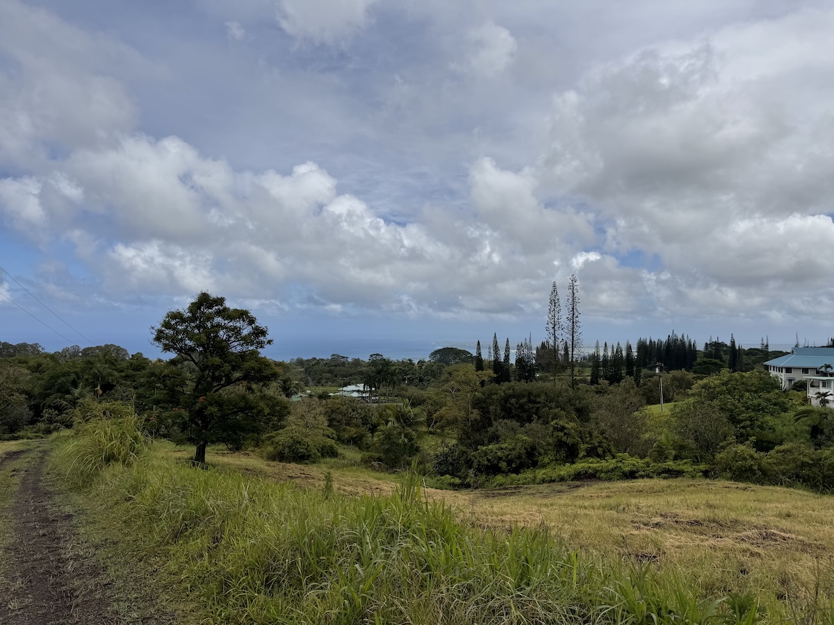 1951 Kaiwiki Road Hilo, HI 96720 - Photo 7 of 29
