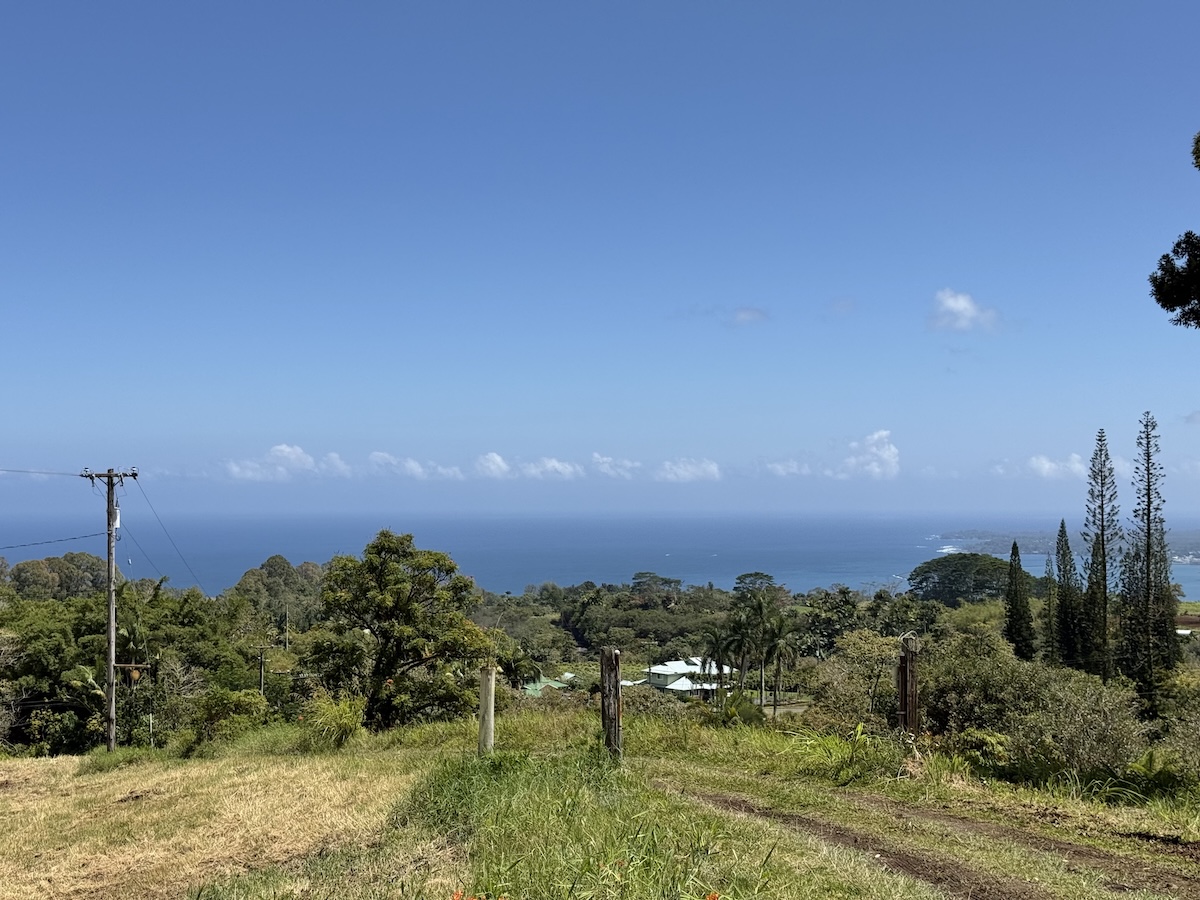 1951 Kaiwiki Road Hilo, HI 96720 - Photo 8 of 29