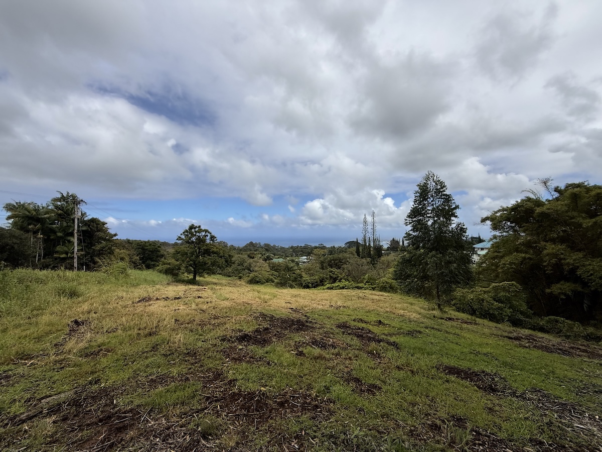 1951 Kaiwiki Road Hilo, HI 96720 - Photo 9 of 29