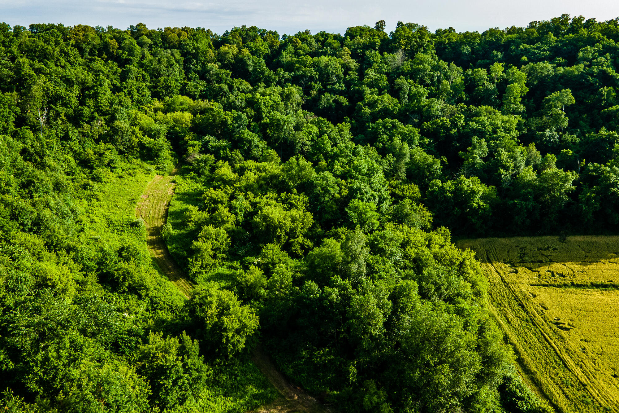 Lt0 Smyth Hollow Road Hillpoint, WI 53937 - Photo 16 of 45 Richland-County-WI-61-Acres-Land-For-Sal