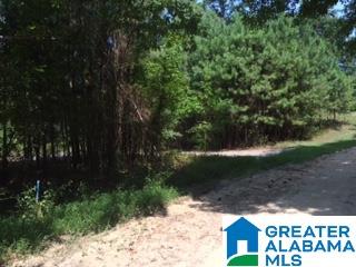 833 East County Road, Unit 17 Clanton, AL 35046 - Photo 2 of 8