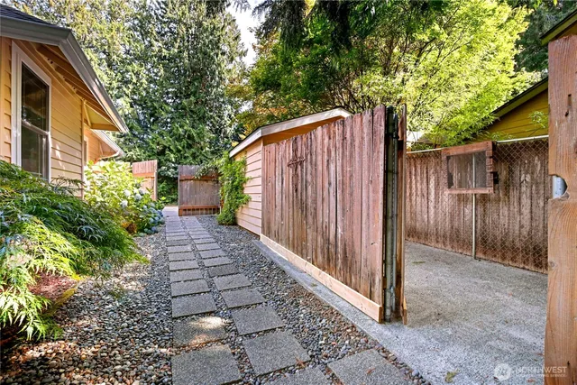 a view of a yard with plants and a large tree