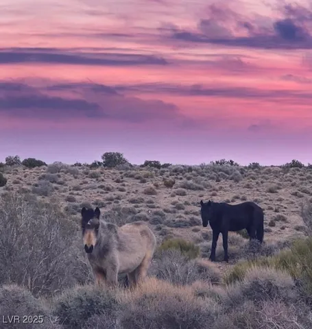 $449,000 | 159 Eagle Nest Circle, Cold Creek, NV 89124