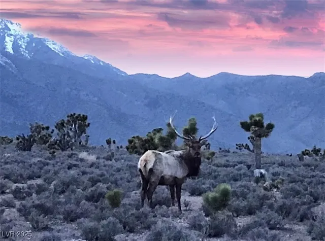 $449,000 | 159 Eagle Nest Circle, Cold Creek, NV 89124