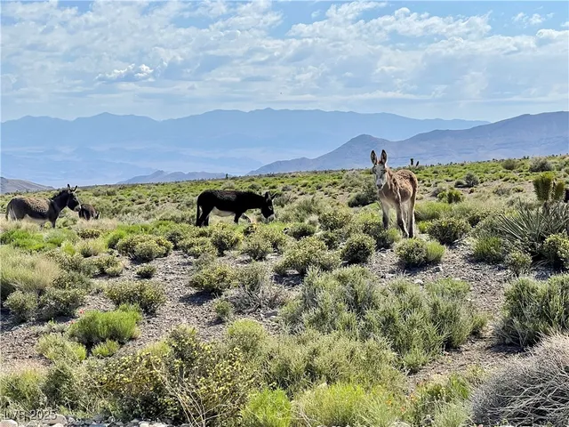 $449,000 | 159 Eagle Nest Circle, Cold Creek, NV 89124