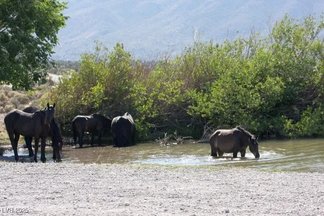 $449,000 | 159 Eagle Nest Circle, Cold Creek, NV 89124