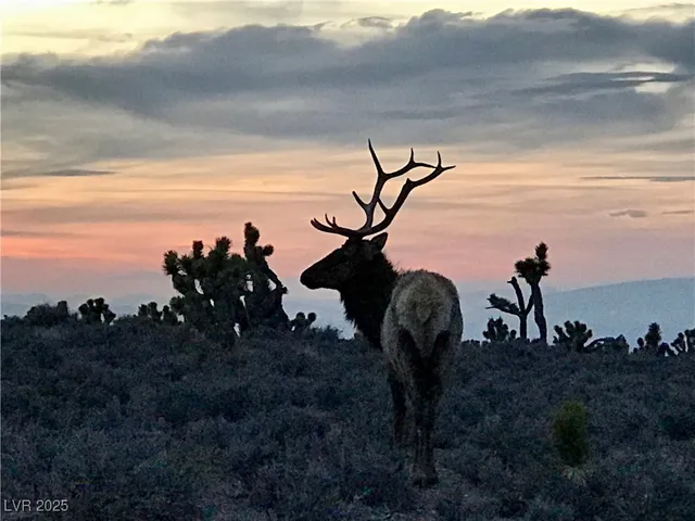 $449,000 | 159 Eagle Nest Circle, Cold Creek, NV 89124