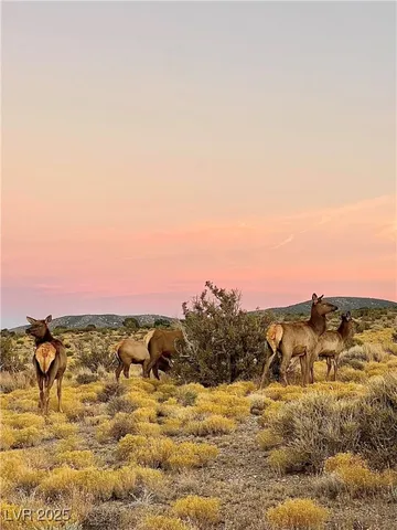 $449,000 | 159 Eagle Nest Circle, Cold Creek, NV 89124