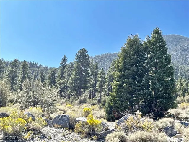 $449,000 | 159 Eagle Nest Circle, Cold Creek, NV 89124