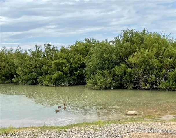 $449,000 | 159 Eagle Nest Circle, Cold Creek, NV 89124