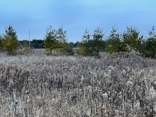 Tbd Lakeview Drive Kewaunee, WI 54216 - Photo 11 of 12