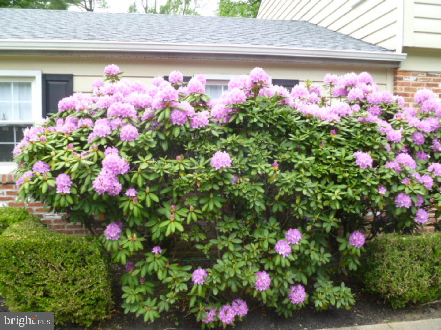 1112 Talleyrand Road West Chester, PA 19382 - Photo 4 of 25 Exterior Front
