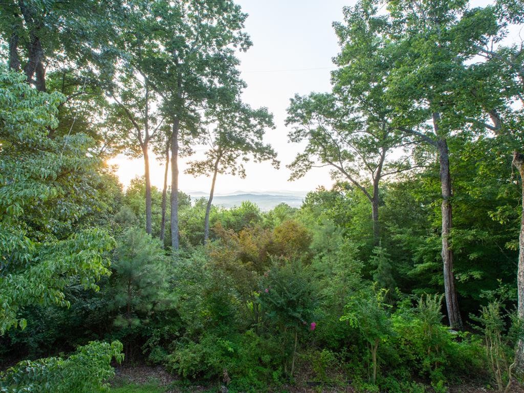783 Hickory Ridge Drive Ellijay, GA 30536 - Photo 23 of 53 Gallery Image 23
