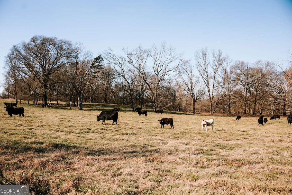 119 A Ralph Bridges Road Lexington, GA 30648 - Photo 5 of 79