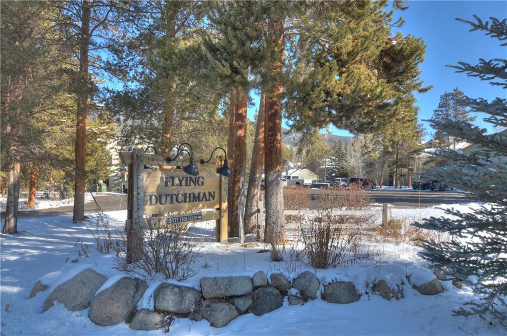 1977 Soda Ridge Road, Unit 1218 Keystone, CO 80435 - Photo 22 of 23 a view of yard with tree s