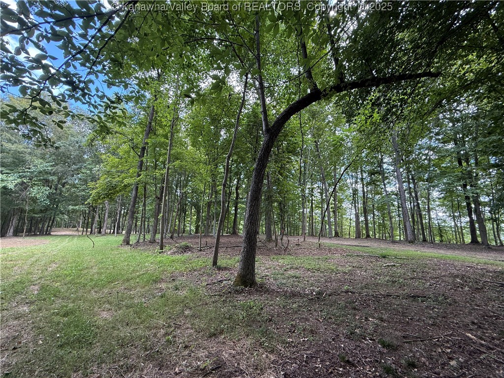 0 Harmon Run Road Le Roy, WV 25252 - Photo 10 of 10 Gallery Image 10