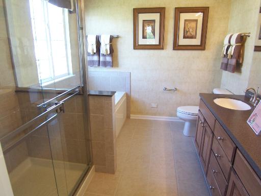 460 South Jade Lane Round Lake, IL 60073 - Photo 14 of 16