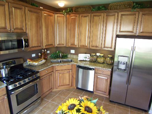 460 South Jade Lane Round Lake, IL 60073 - Photo 6 of 16