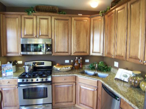 460 South Jade Lane Round Lake, IL 60073 - Photo 7 of 16