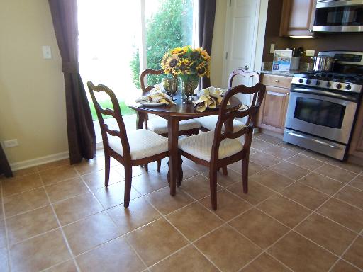 460 South Jade Lane Round Lake, IL 60073 - Photo 8 of 16