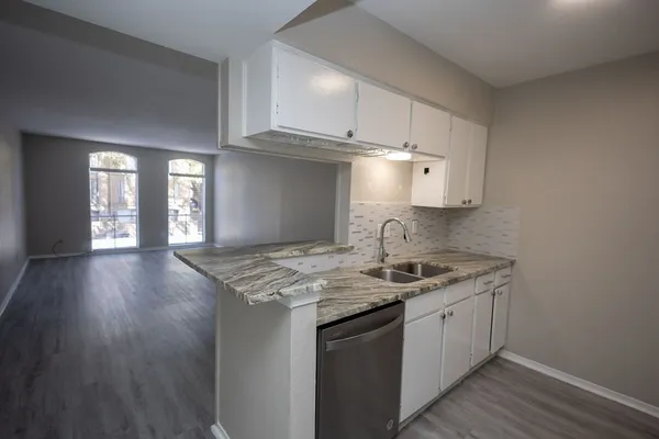 $1,150 | 4647 Wild Indigo Street, Unit 355, Houston, TX 77027
