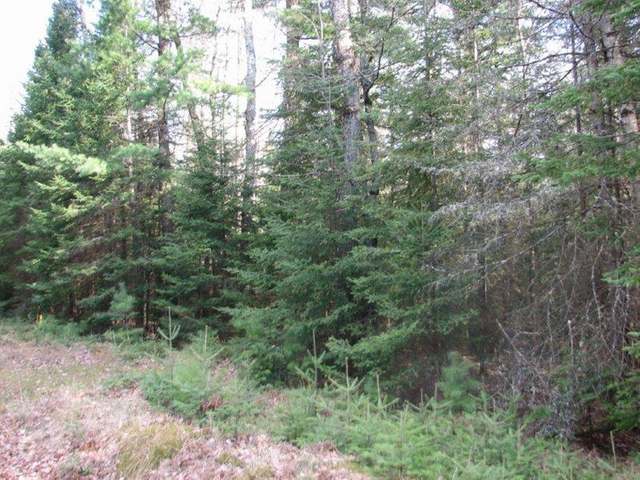 Lot 2 Half Mile Road St. Germain, WI 54558 - Photo 4 of 9 Gallery Image 4