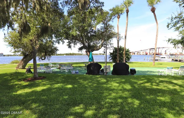 a view of a park with large trees