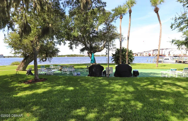 a view of a park with large trees