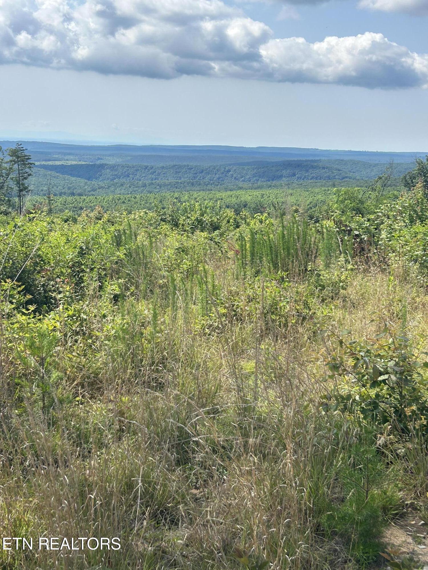 506 Sweeny Branch Road Spring City, TN 37381 - Photo 1 of 4 IMG_6079