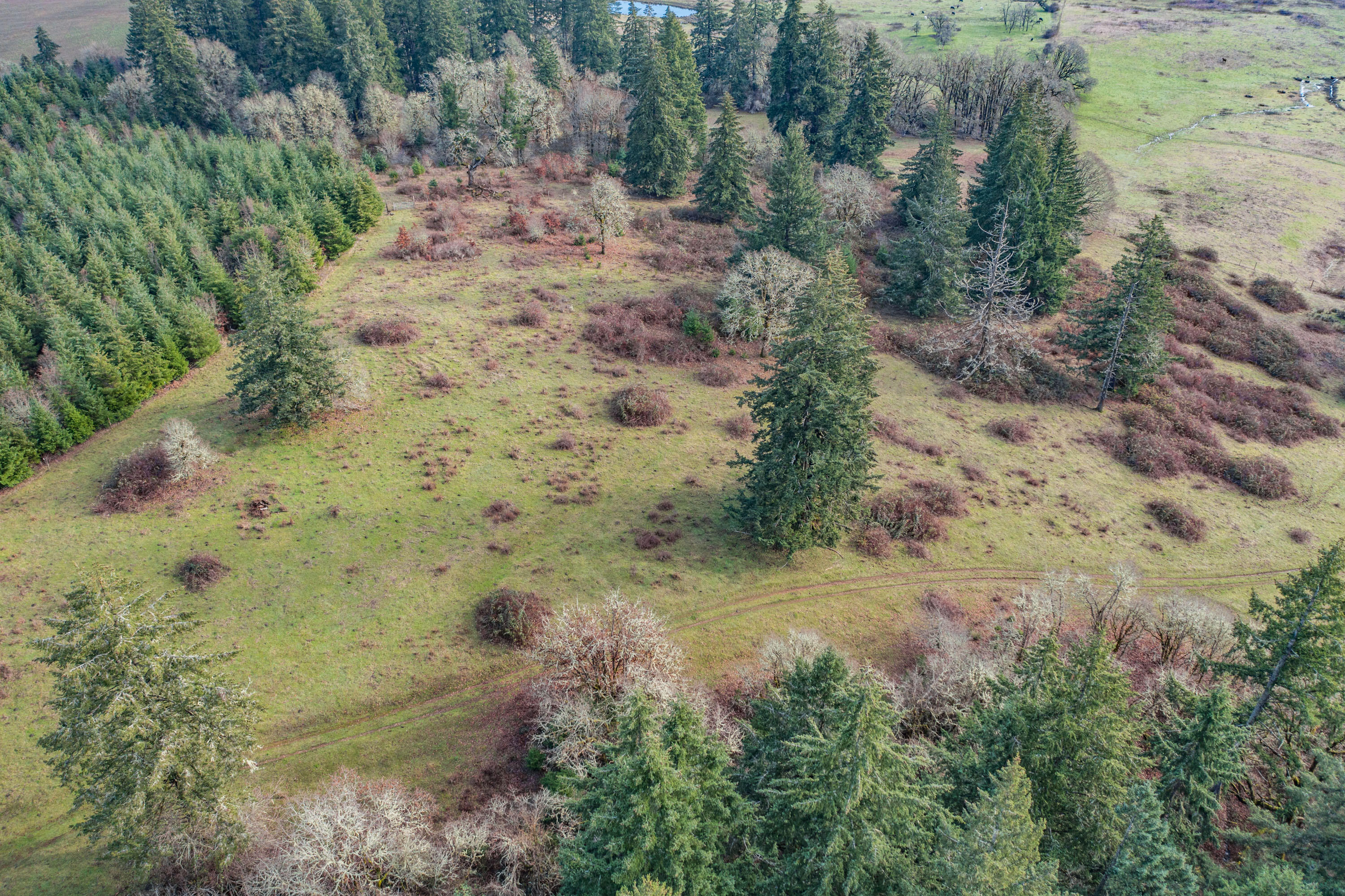 0 Airlie Road Monmouth, OR 97361 - Photo 21 of 33 Export-0833