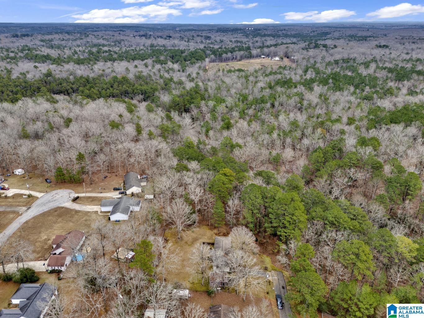 1702 Ridge Drive Jasper, AL 35504 - Photo 35 of 37