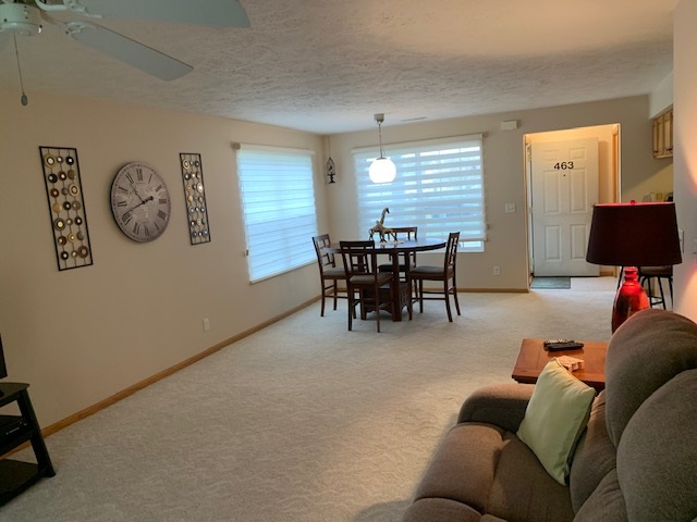 463 Mill Ridge Drive Byron, IL 61010 - Photo 8 of 22 Gallery Image 8