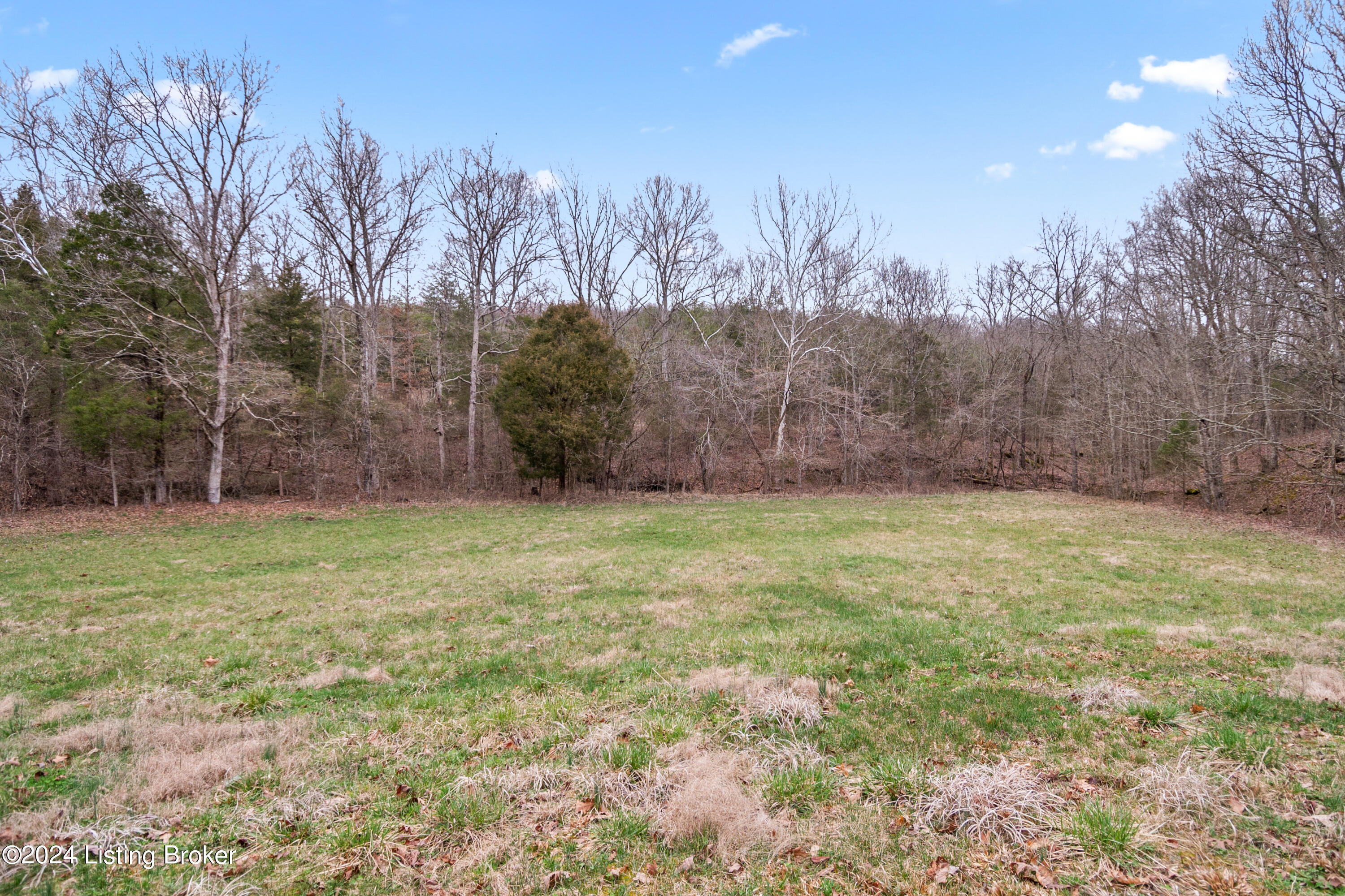 830 Skaggs Road Clarkson, KY 42726 - Photo 47 of 74 830SkaggsRd-48