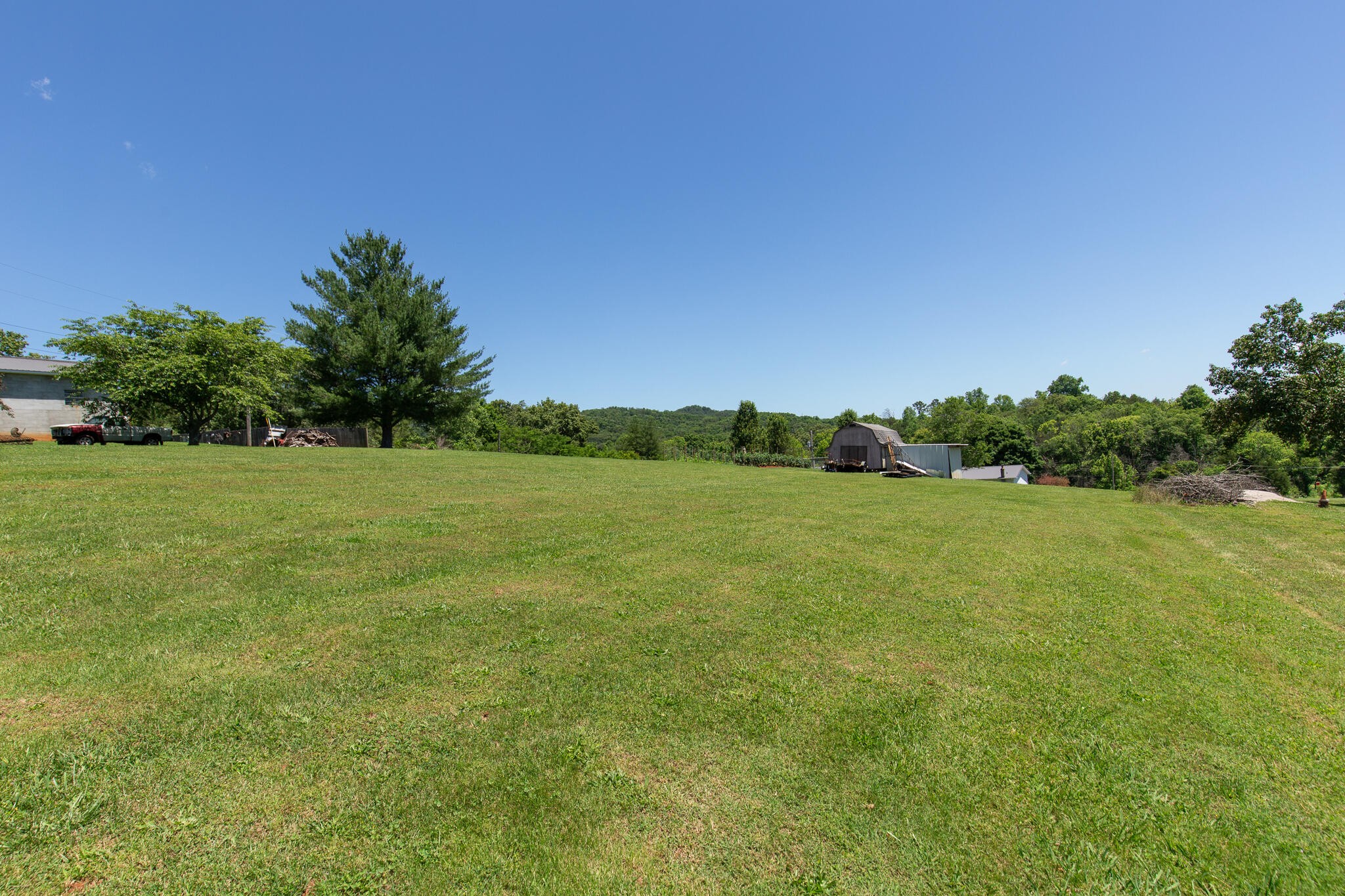 219 Corbin Lake Road Rutledge, TN 37861 - Photo 38 of 41 a view of a field with an trees in the background
