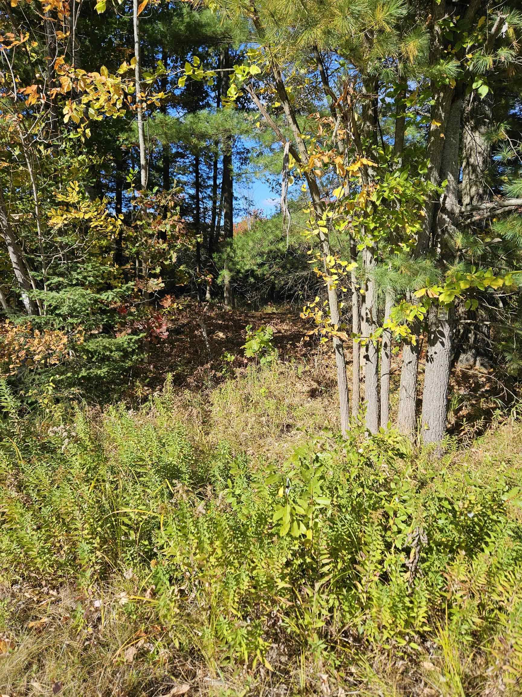 8300 Kokosing Road Hale, MI 48739 - Photo 7 of 9 Gallery Image 7