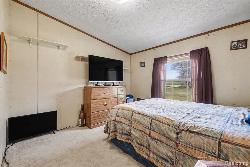 7689 West Sidney Road Greenville, MI 48838 - Photo 16 of 27